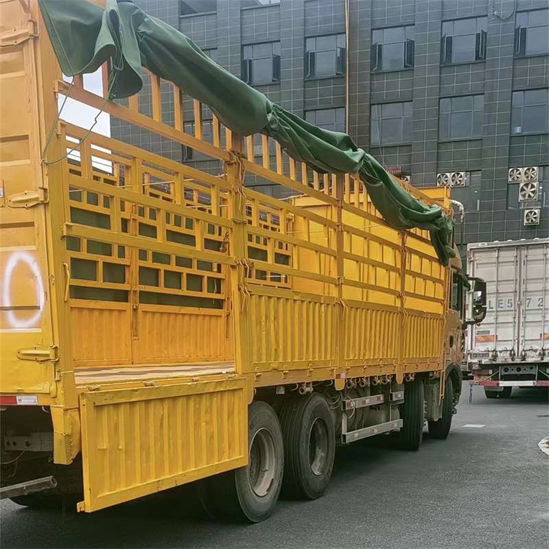 福建三明沙县至宜宾货运专线一站式物流服务，让货物畅行无忧